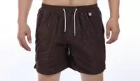 louis vuitton pantalon de plage 2013 populaire shorts hommes lv france all brown